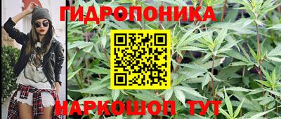 ПСИЛОЦИБИНОВЫЕ ГРИБЫ Лесосибирск
